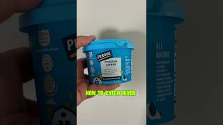 HOW TO Catch Catfish In A RIVER Tutorial shorts fishing [upl. by Chellman]