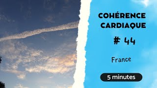 🪷 Cohérence cardiaque 44  5 min  France [upl. by Lehcnom]