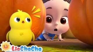 Five Little Chicks Song🐣  Little Chick Search Song  LiaChaCha Nursery Rhymes amp Baby Songs [upl. by Cecilia]