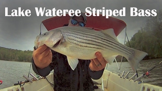 Lake Wateree Striper Fishing Tips  How To Catch River Stripers on Lake Wateree [upl. by Revned42]