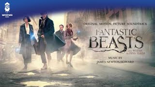 Fantastic Beasts and Where To Find Them Official Soundtrack  Credence Hands Leaflets  WaterTower [upl. by Oiramaj237]