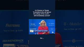 Liz Cheney A president who will ignore the rulings of the courtswill immediately unravel Shorts [upl. by Low]