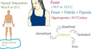 Fever Causes and Fever Types What does fever say about the disease High temperature [upl. by Nnitsuj162]