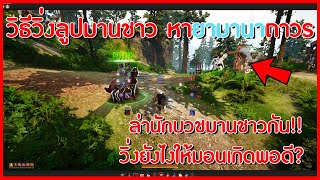 ก้อนไกด์  วิธีวิ่งลูปมานชาว หายามานาถาวร ลูปนักบวชมานชาว Odores Spirit Essence  Black Desert [upl. by Enail]