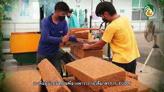 ยางล้อ Greenergy Tyre จุดเริ่มผลิตภัณฑ์ EUDR Eng Version [upl. by Odnanref]