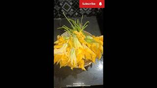 ବୟୀତାଳୁ ଫୁଲ ବରା 👌😋 pumpkin flower bara🥰 short  pinkey odia kitchen [upl. by Udele]