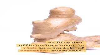 Why is Ginger Considered a Superfood [upl. by Warfore]