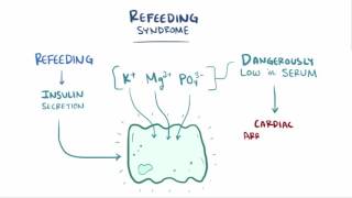 Anorexia nervosa causes symptoms diagnosis treatment amp pathology [upl. by Notniuqal]