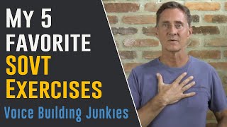 My 5 Favorite SOVT Exercises for Vocal Training  Voice Building Junkies Ep007 [upl. by Eitisahc]