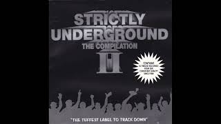 Strictly Underground  The Compilation II 1994 [upl. by Baptist731]