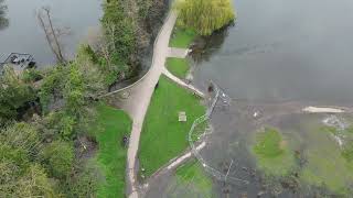 Flooded Verulamium Lake St Albans 26 March 2024 [upl. by Snook676]