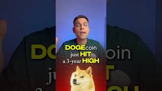 Dogecoin rally started by Elon Musk crypto elonmusk doge dogecoin [upl. by Lladnyk211]