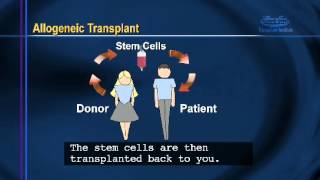 Bone Marrow Transplant Patient Information Chapter 2  Bone Marrow Transplants [upl. by Gav514]