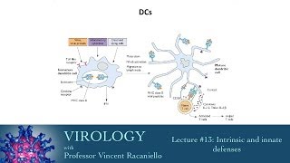 Virology 2014 lecture 13  Intrinsic and innate defenses [upl. by Ik92]