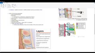 Lumbar Puncture  Spinal Tap and Epidural [upl. by Myra]