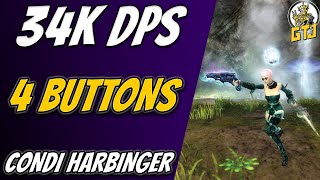 34K DPS  4 Buttons Low Intensity GW2 Harbinger Build For Group Content [upl. by Lu]