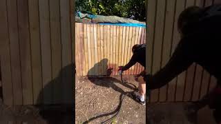 Erbauer 800watt paint sprayer in action Fence painting [upl. by Dyanna]