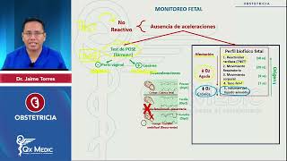 Evaluación Gestacional Monitoreo Fetal [upl. by Nylleoj577]