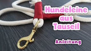 Tauleine für den Hund selbst wickeln  Anleitung  DIY [upl. by Trebled]