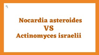 Nocardia asteroides vs actinomyces israelii [upl. by Ardnahcal]