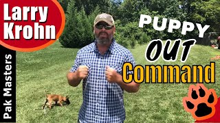 Teaching the OUT command to high drive puppies [upl. by Rehpotsrihc]