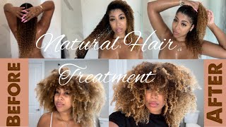 Restoring Damaged Hair Natural Hair Treatment Routine [upl. by Anahsor]