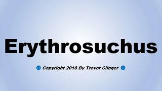 How To Pronounce Erythrosuchus [upl. by Yziar]