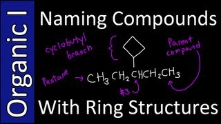 Naming Compounds with Ring Branches IUPAC Style  Organic Chemistry I [upl. by Solita612]