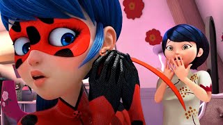 MARINETTES FAMILY WILL LEARN HER SECRET IDENTITIY Miraculous Ladybug Season 6 Spoilers [upl. by Refynnej]