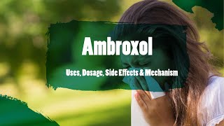 ambroxol  Uses Dosage Side Effects amp Mechanism  Bisolvon [upl. by Artemisa130]