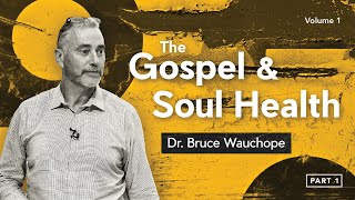 The Gospel and Soul Health  Part 1 Introduction [upl. by Einnaoj27]