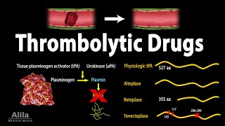 Pharmacology Thrombolytic Fibrinolytic Drugs Animation [upl. by Ares971]