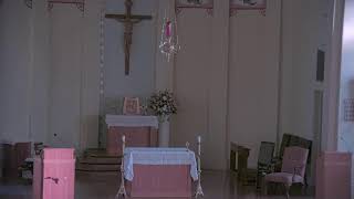 August 24 2024 at 600 pm Catholic Mass from St Philip Vacherie LA [upl. by Weinstein]