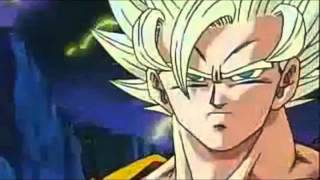 DBZ AMVGoku Warrior Disturbed [upl. by Attekal]