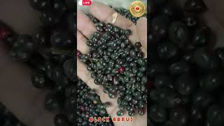 Black Abrus  Gunja Seeds  Rosary Pea  Crabs Eyes  Precatory Bean  Gulaganji  jayherbs [upl. by Amle]