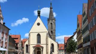 Rottenburger Dom  Festgeläut [upl. by Handel]