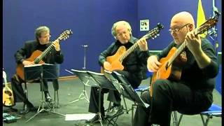 quotLa Calvarusoquot Tarantella Siciliana Trio 18 Corde  Live [upl. by Ainerbas]