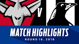 Essendon v Collingwood Highlights  Round 16 2018  AFL [upl. by Anifares313]