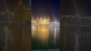 Golden Temple Amritsar India 🇮🇳 india amritsar goldetemple [upl. by Essie]