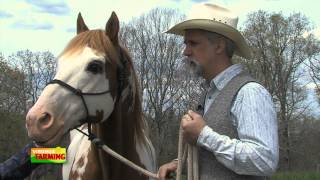 Equine Author Tom Moates [upl. by Sari]