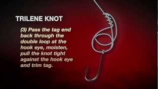 How To Tie A Berkley Trilene Knot In 3 Easy Steps [upl. by Tillio917]