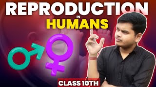 Reproduction in human beings  class 10th biology  how do organisms reproduce  part 1 [upl. by Callery549]