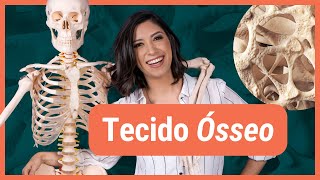 TECIDO ÓSSEO  Histologia [upl. by Wurst]