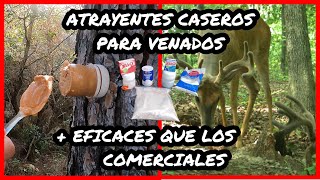 Crea Fácil Atrayentes Caseros para Venados corzo ciervo gamo alce caribú Como hacer y cebar caza [upl. by Mayne703]