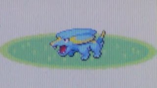 WSHC  BQ 7 Live Shiny Electrike After 1856 REs Pokemon Ruby [upl. by Prospero]