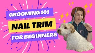 Grooming 101 Nail Trim For Beginners [upl. by Nirhtak]