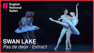 Swan Lake Odette and Prince Siegfried pas de deux extract  English National Ballet [upl. by Andy]