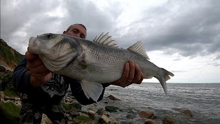 Pêche du bar au leurre de surface VS leurre à bavette [upl. by Lilybelle]