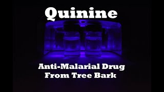 Extracting Quinine From Tree Bark [upl. by Lamont204]