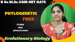 Phylogenetic Tree BSc 3rd yearTypesRooted And Unrootedevolution phylogeny [upl. by Bainbridge]